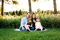 The Hunt Dienesch Family 2018 - Christmas Simplicity Session